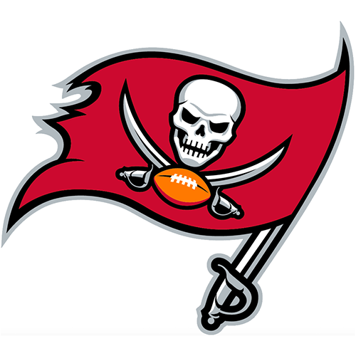 (image for) Tampa Bay Buccaneers 2014-Pres Primary Logo iron on heat transfer - Click Image to Close